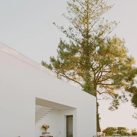 Casa Modesta Olhão