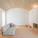 Farma Casa Modesta *
